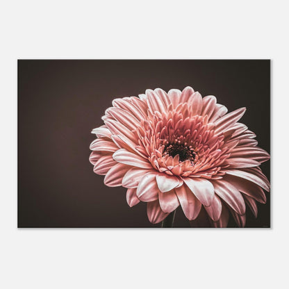 35eceb52-5264-4d46-a0a7-e2b23d1210c5