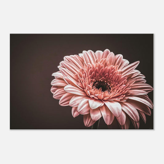 35eceb52-5264-4d46-a0a7-e2b23d1210c5