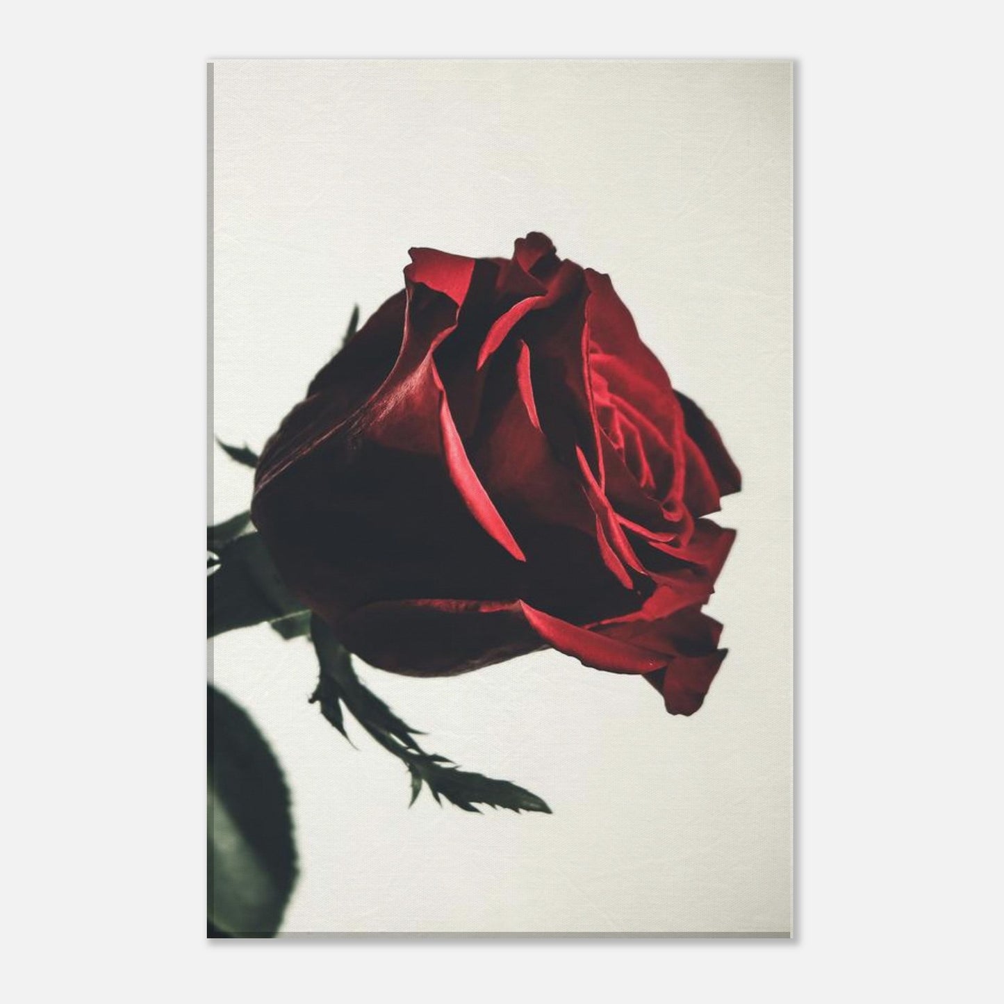 35ffcbe9-8b68-4138-8888-530080e70c96