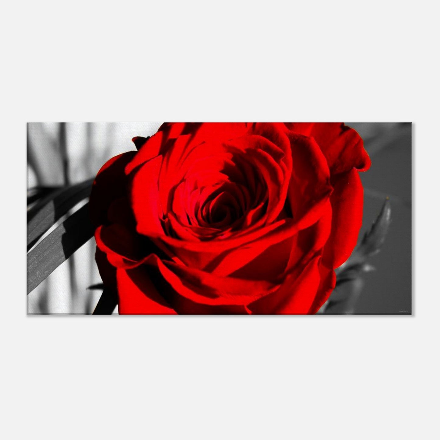 363ecbd2-dcc8-4515-983f-7402bc2844af