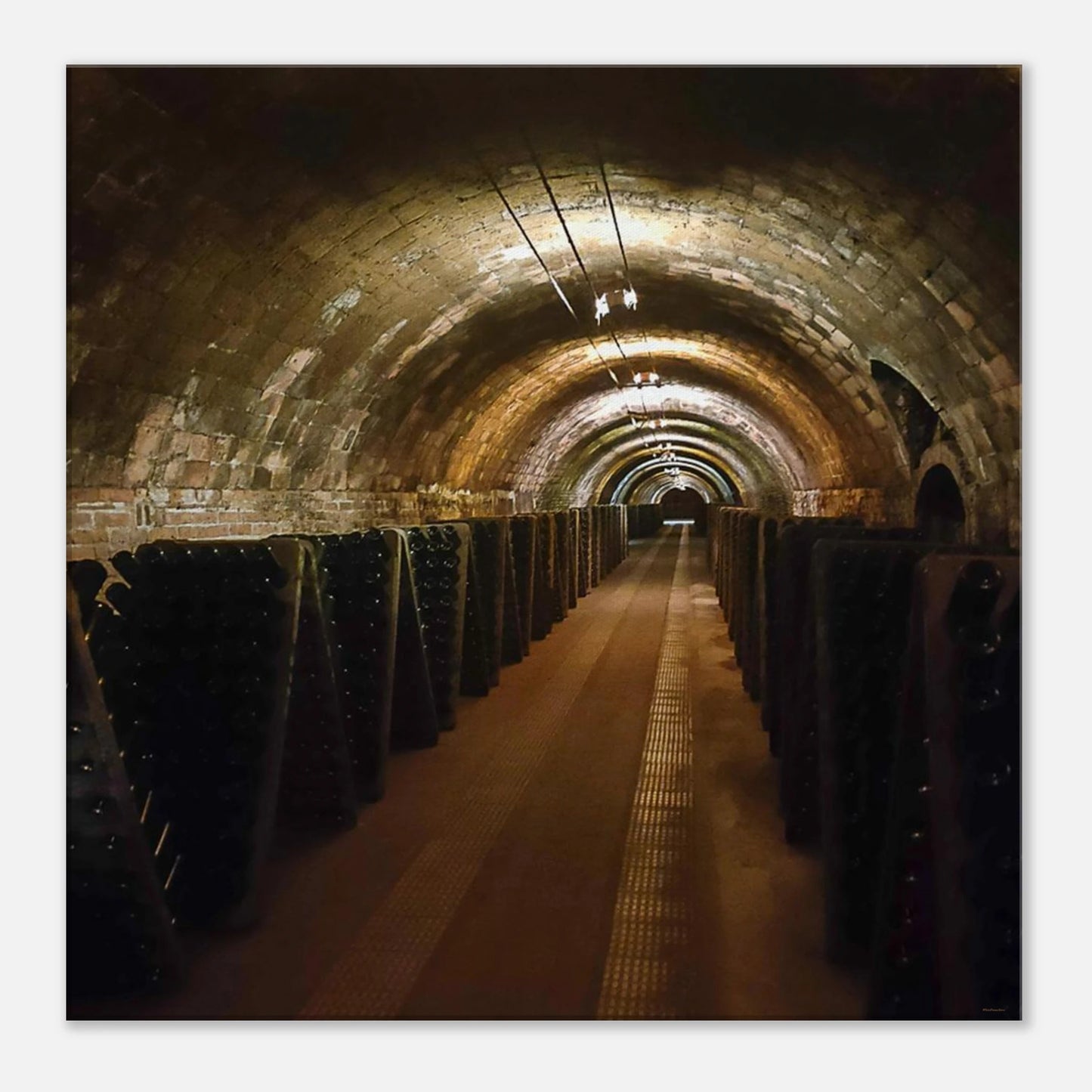 36443392-9af4-4530-8b8f-aecb009a918c