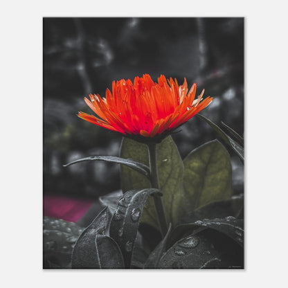 366b3c14-f9f5-49cd-a6d1-90f89393461b