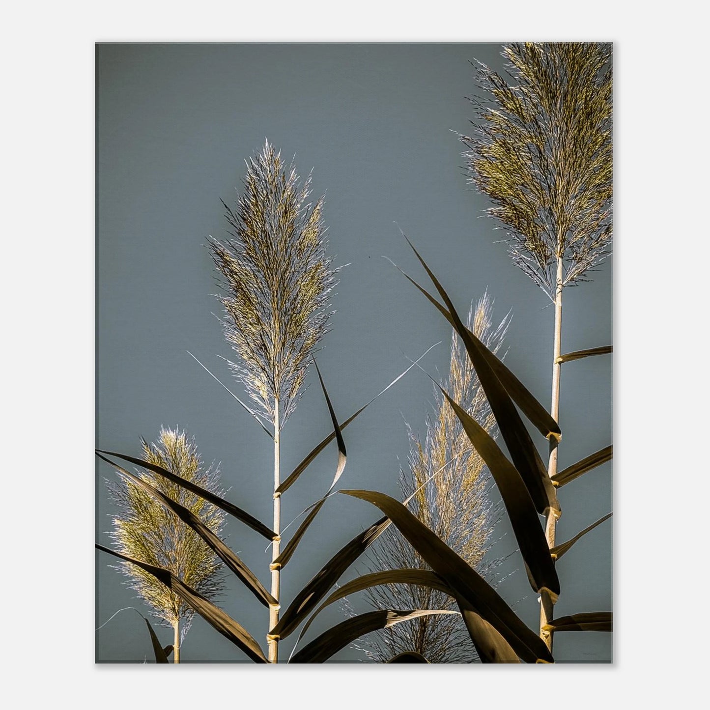 367c2c1d-b0b7-4be0-88e5-f32adcb8802f