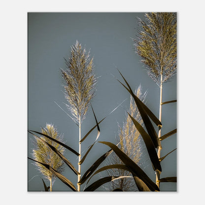 367c2c1d-b0b7-4be0-88e5-f32adcb8802f