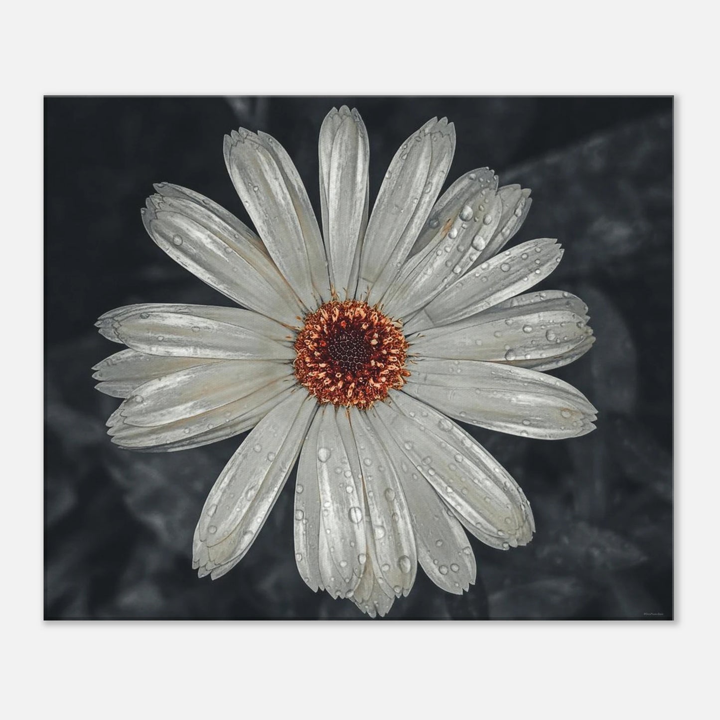 3680901d-b548-4c6e-9029-5cec246fae6d