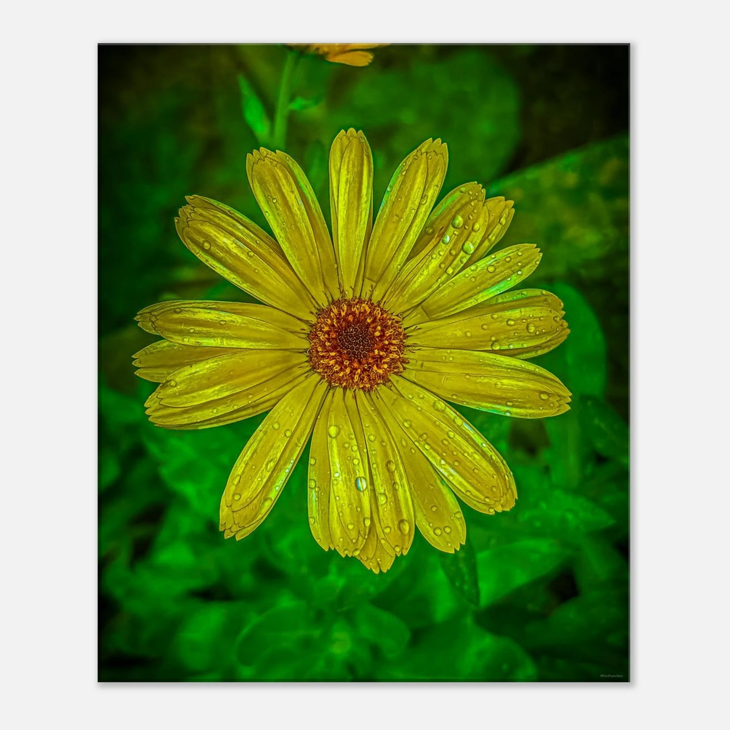 3689e31d-384e-4e51-b628-4464738e99e5