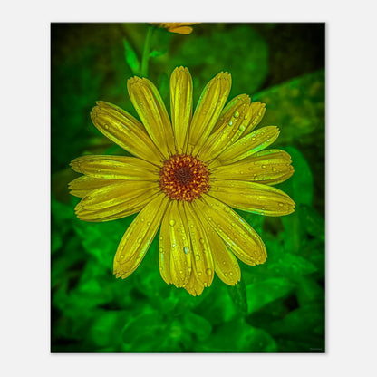 3689e31d-384e-4e51-b628-4464738e99e5