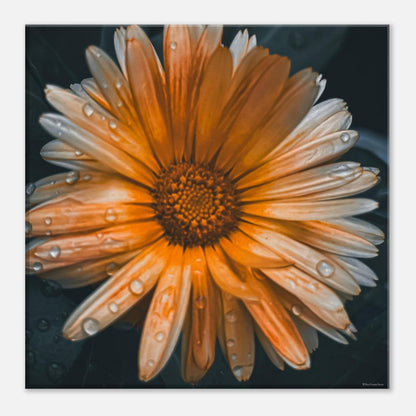 36903da3-8a6f-4d45-b1f5-37a610fcf3fc