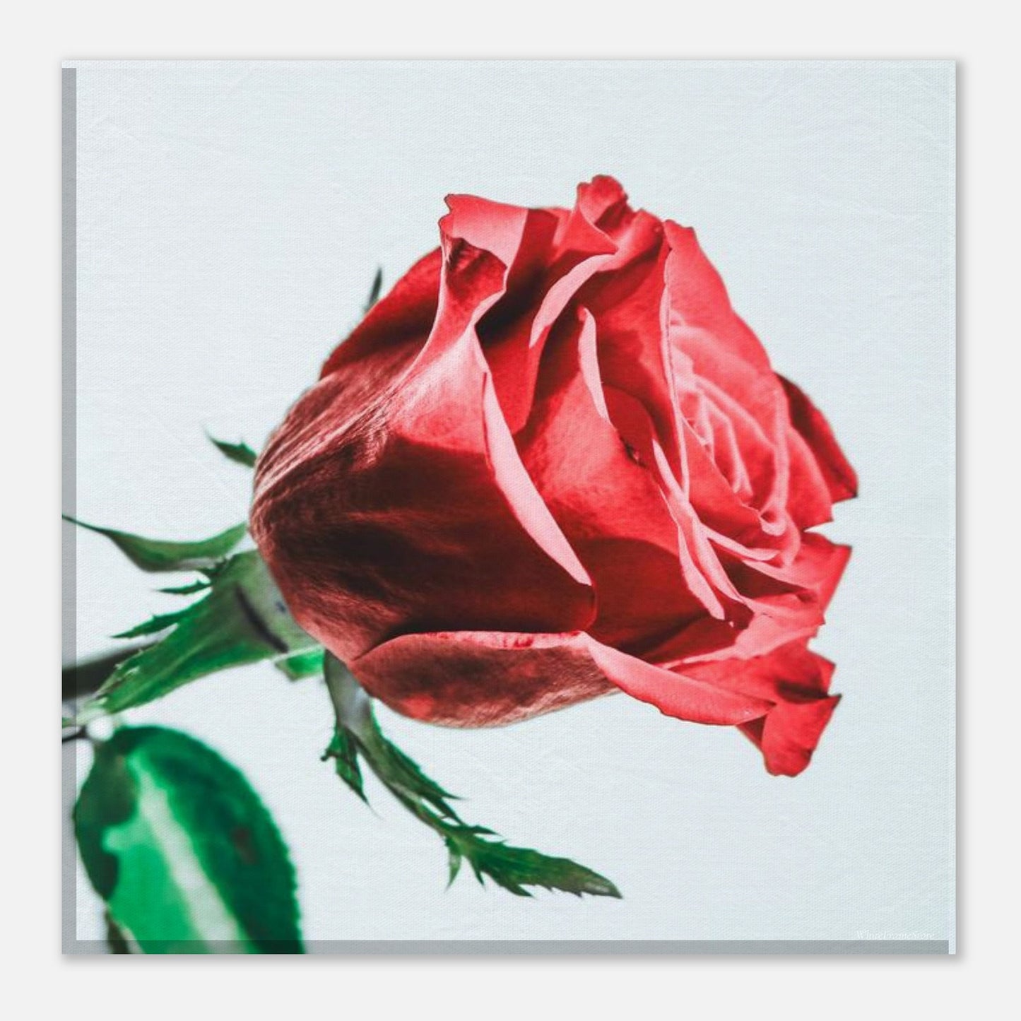 36b1ced8-5ffb-46ca-8db2-569f24a160ac