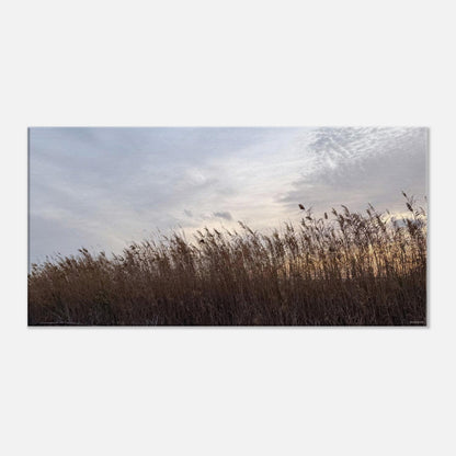 36bbe428-9da7-4b0d-bb5e-837aae963341