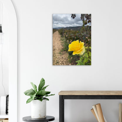 36bebcda-550d-4686-9693-0afb220608d3