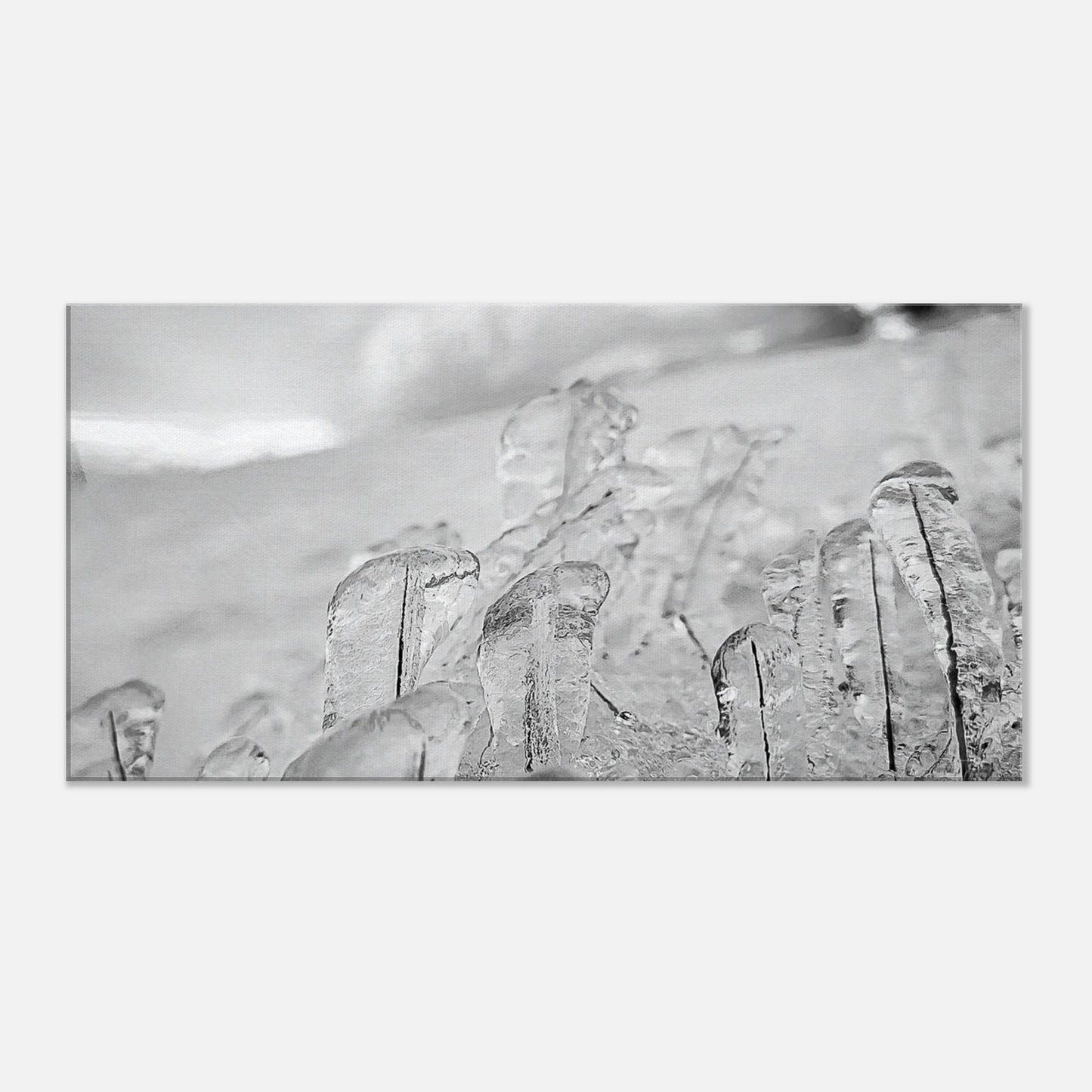 36c77136-4833-42e3-9a0e-667ebdc03e8d