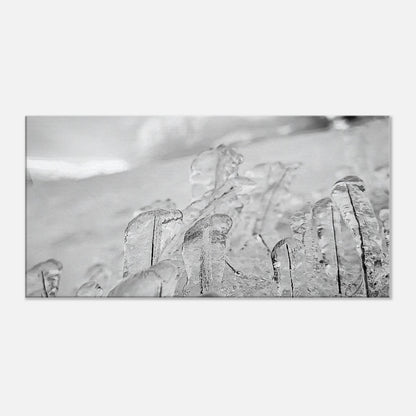 36c77136-4833-42e3-9a0e-667ebdc03e8d