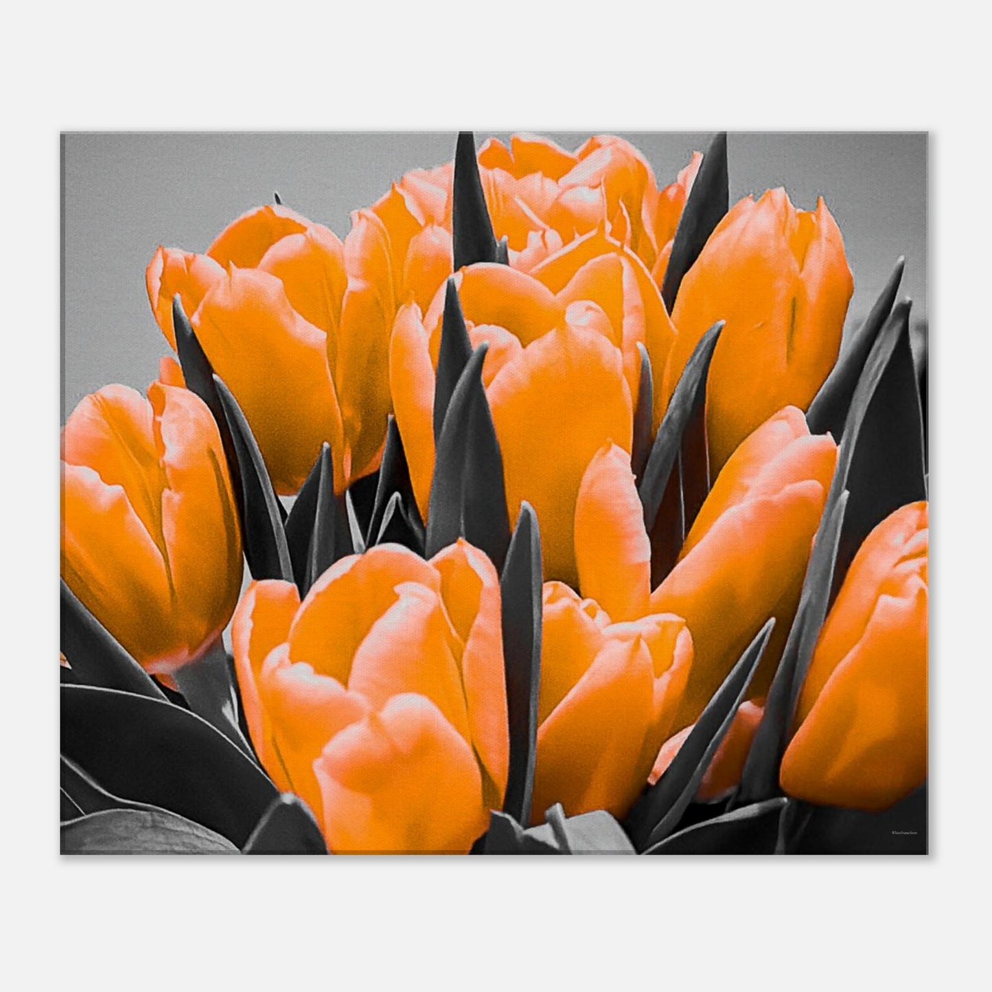 36f88aa0-1c35-4a1b-b2f9-07c499def9e5