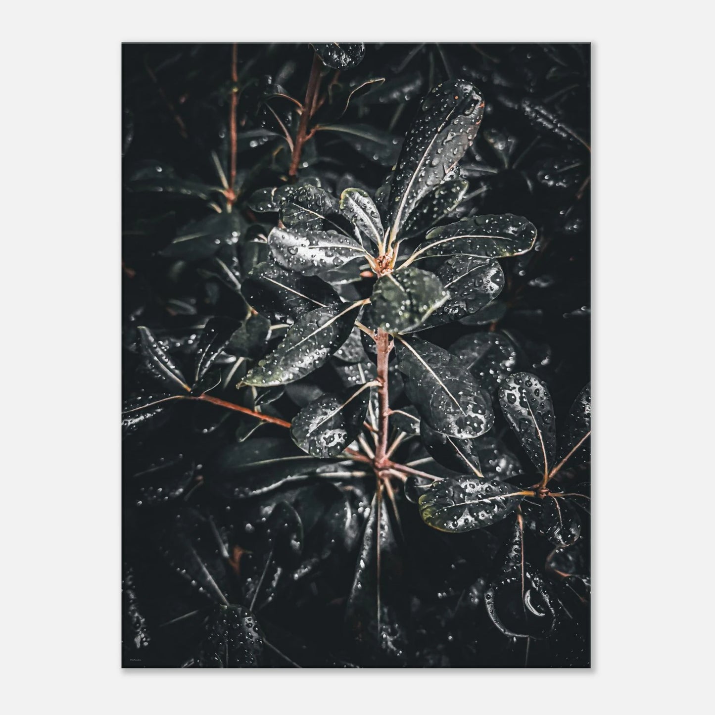 370f2eec-c6ee-48fe-98cb-630e1cef117e