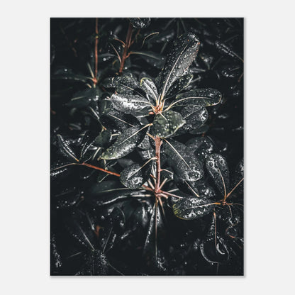 370f2eec-c6ee-48fe-98cb-630e1cef117e