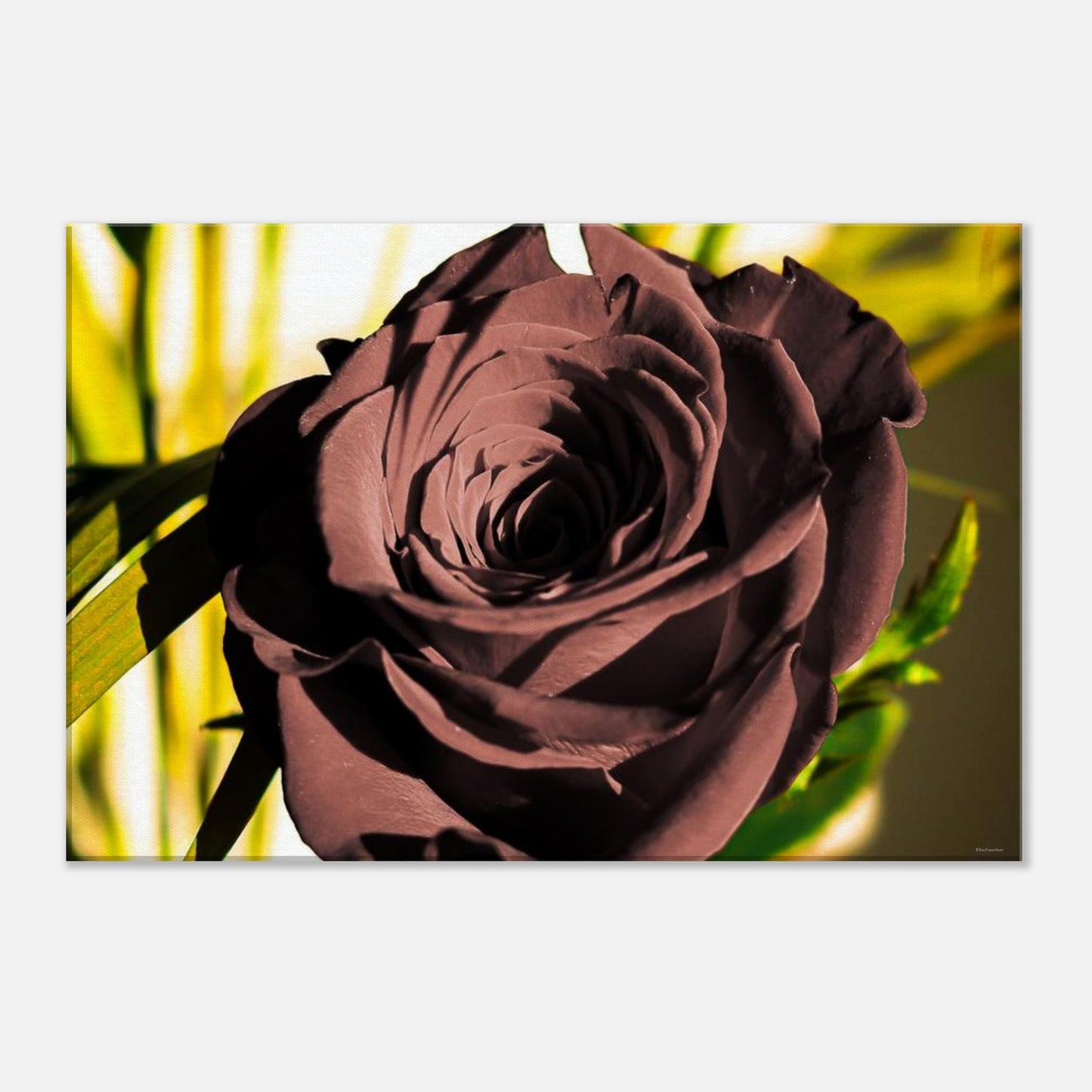 37299713-01ad-4a5e-aead-fd778f53124f