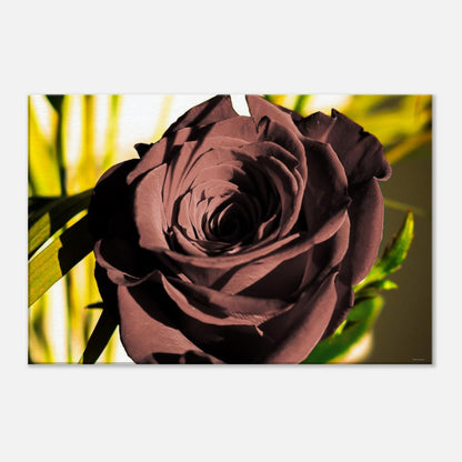 37299713-01ad-4a5e-aead-fd778f53124f