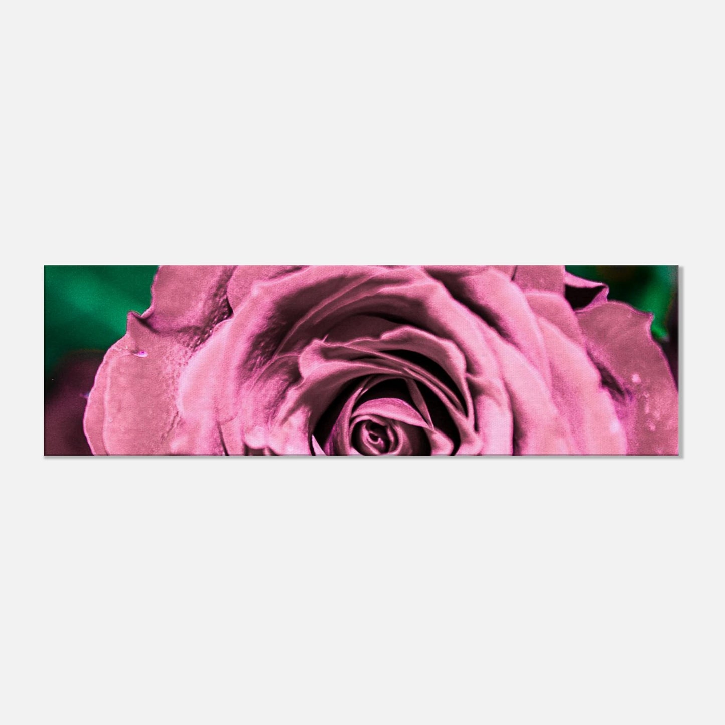372c6002-3936-4dc7-9018-9aa57aa9f31e