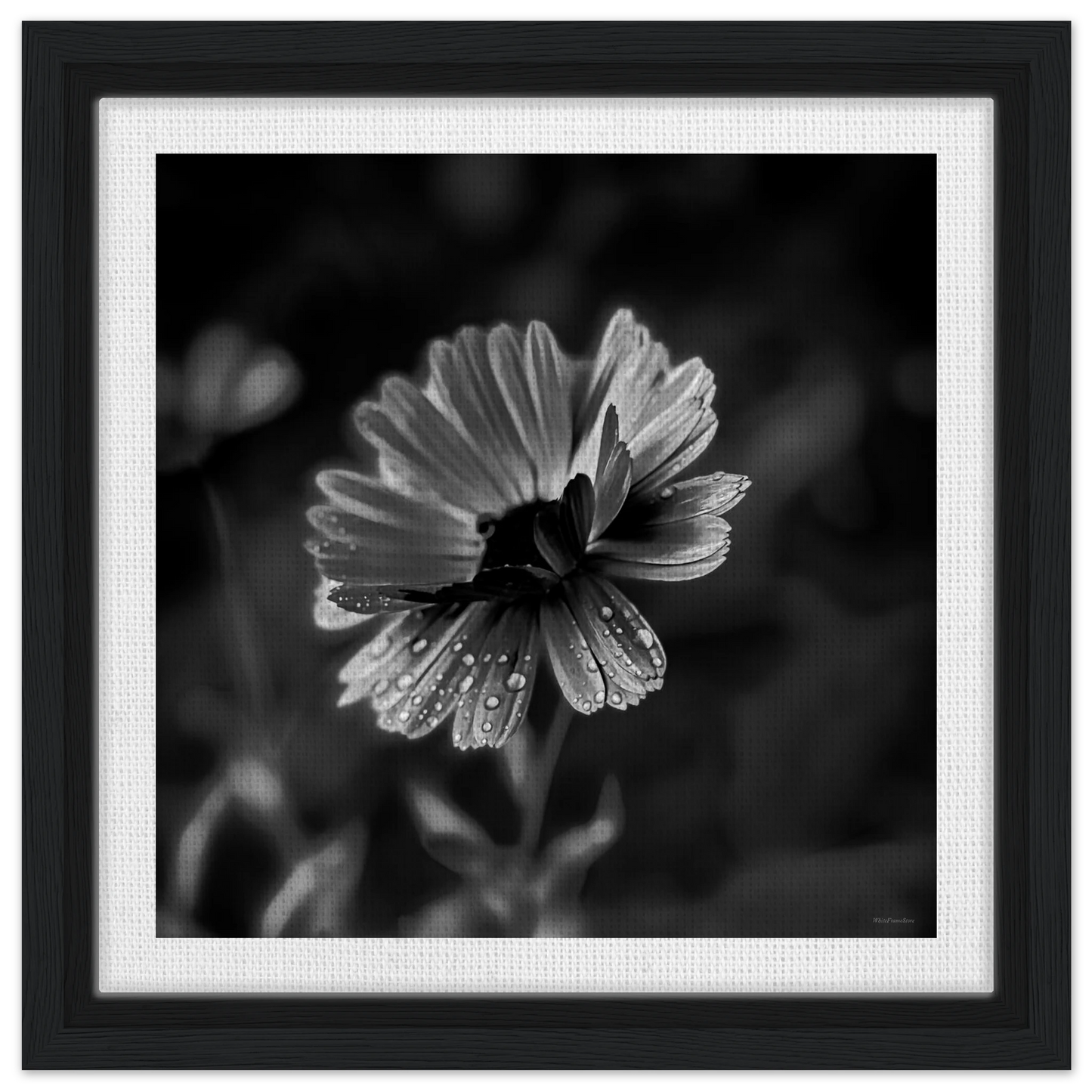 373c5671-46ec-44b2-9908-e749cf915853