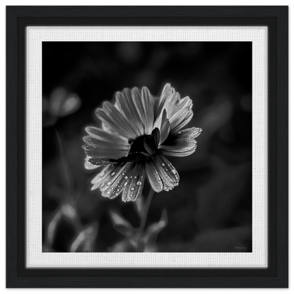 373c5671-46ec-44b2-9908-e749cf915853