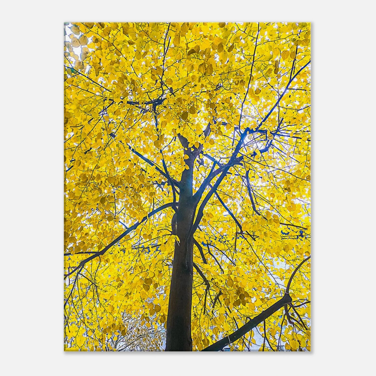 3759c5ad-12f7-4144-9a7b-b211fb5cca39