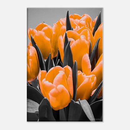 378163da-695c-4afc-becd-1f52fcf6bb9a