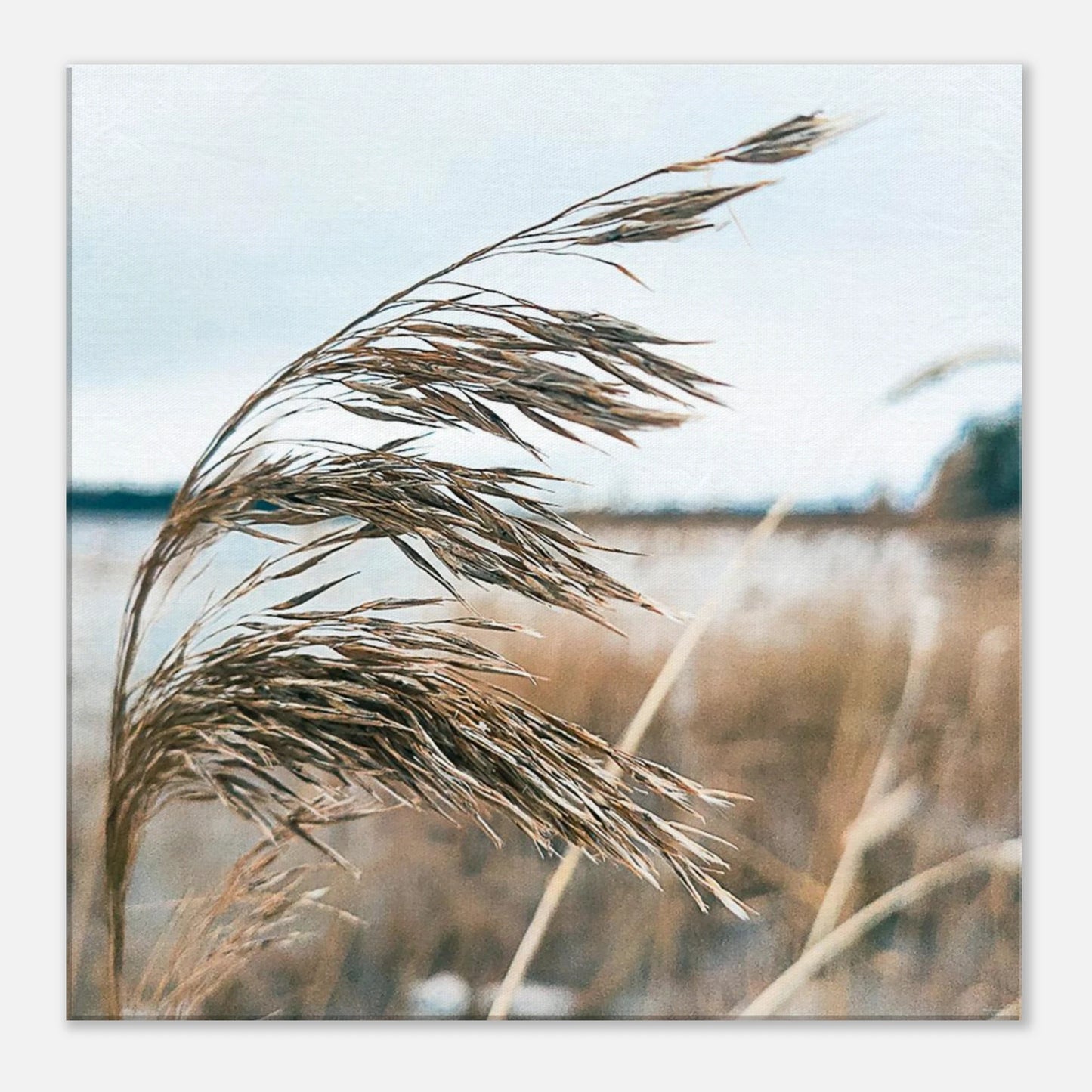 37847258-8a76-4833-87ab-12e7fdb15754