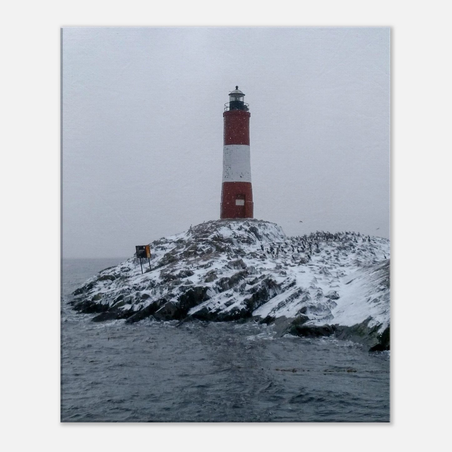 379cf5cc-23aa-4bbb-b70c-b3e99d38952c