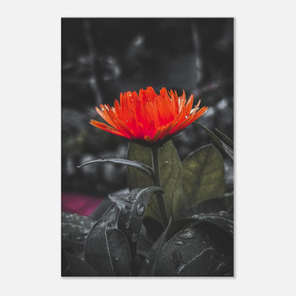 37ac9e5b-ff1e-4a96-934e-50ece311a5a4