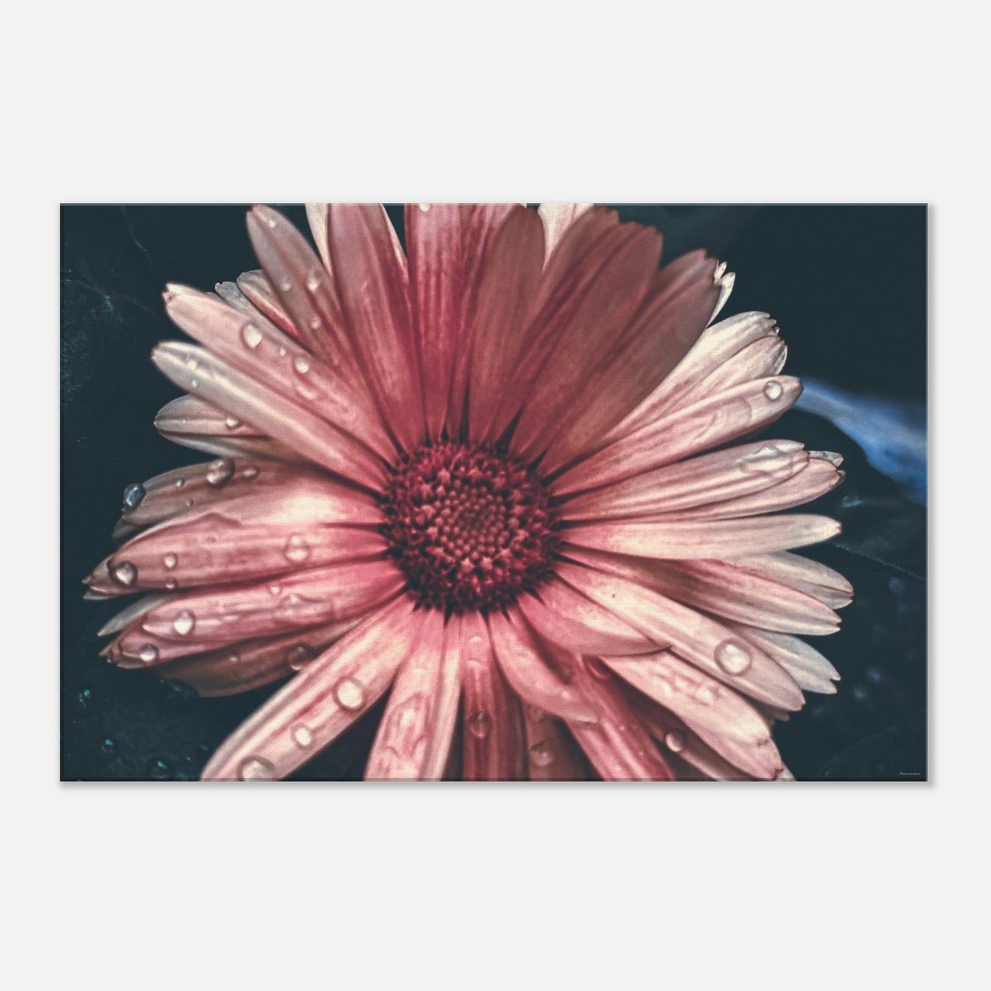 37b0e8c7-f33b-4ccb-b6ca-c855ba82b52d