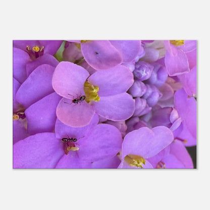 37de3ea8-b9b6-469a-88fe-ea75fe36c208