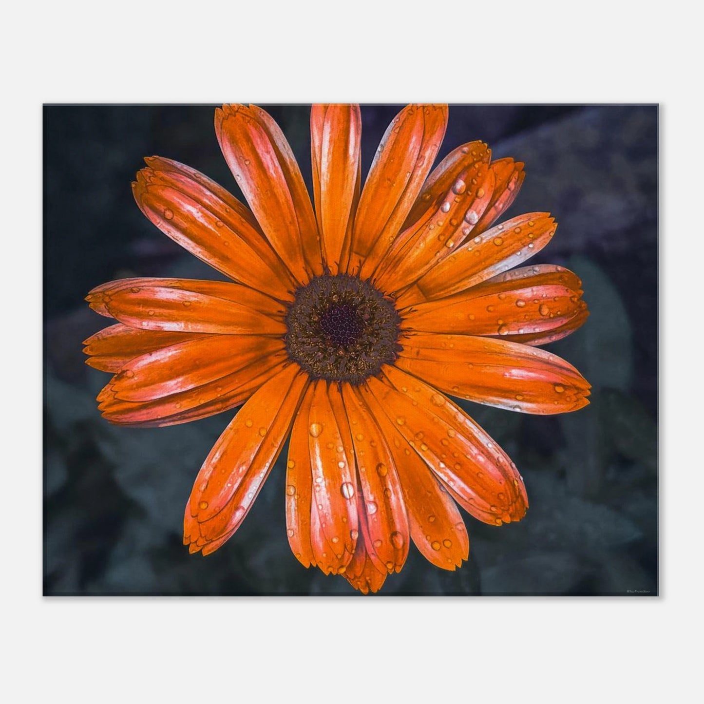 3824a620-5236-4cef-a29c-0117a0328380