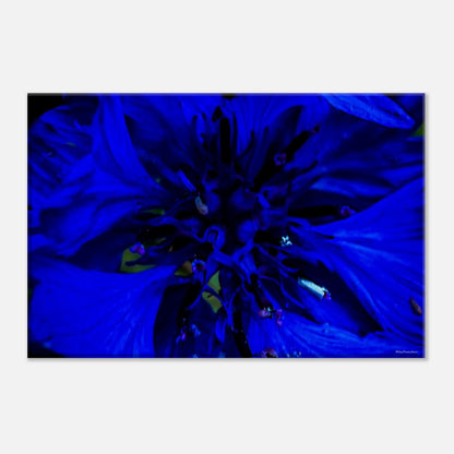 382cad45-024d-4a23-8e24-8599eddffe1b