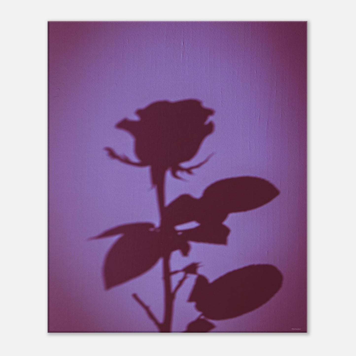 383cd9cd-ada5-421b-9989-c3ced5851210