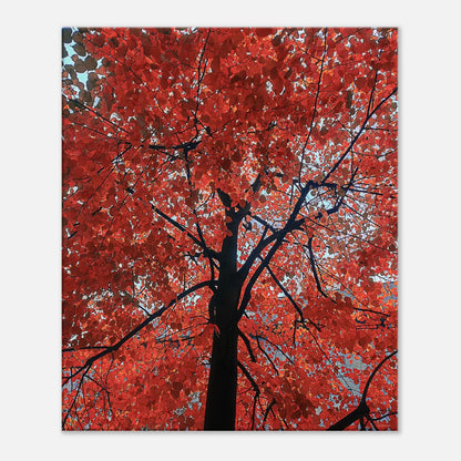 385f0b40-c469-4f8d-8897-5a3e92401276