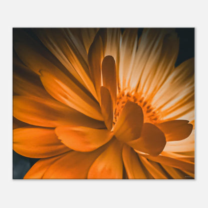 389fdf12-e7d9-4726-bfaf-f868eaae7555