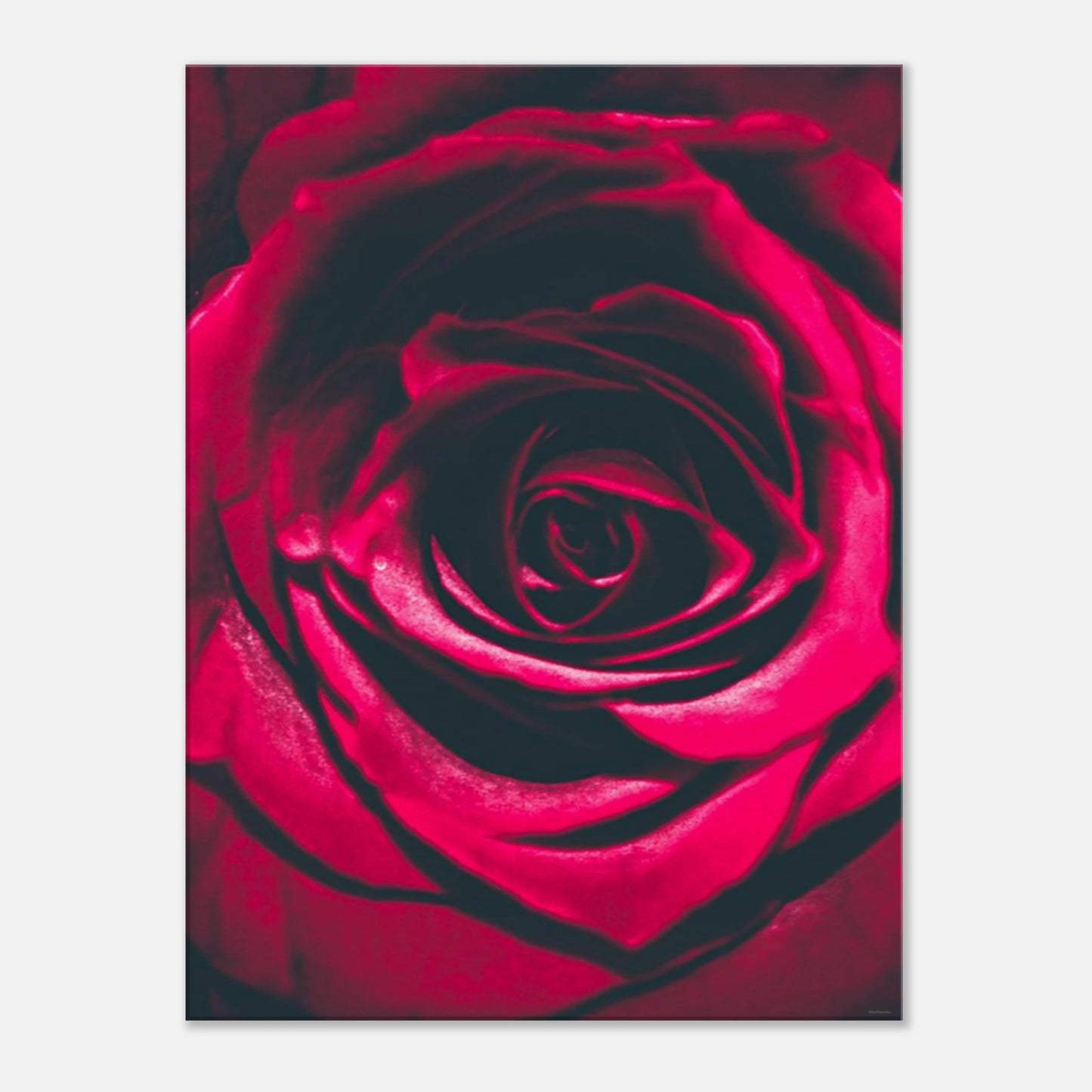 38a18493-d69e-4535-bdda-b935f3076759