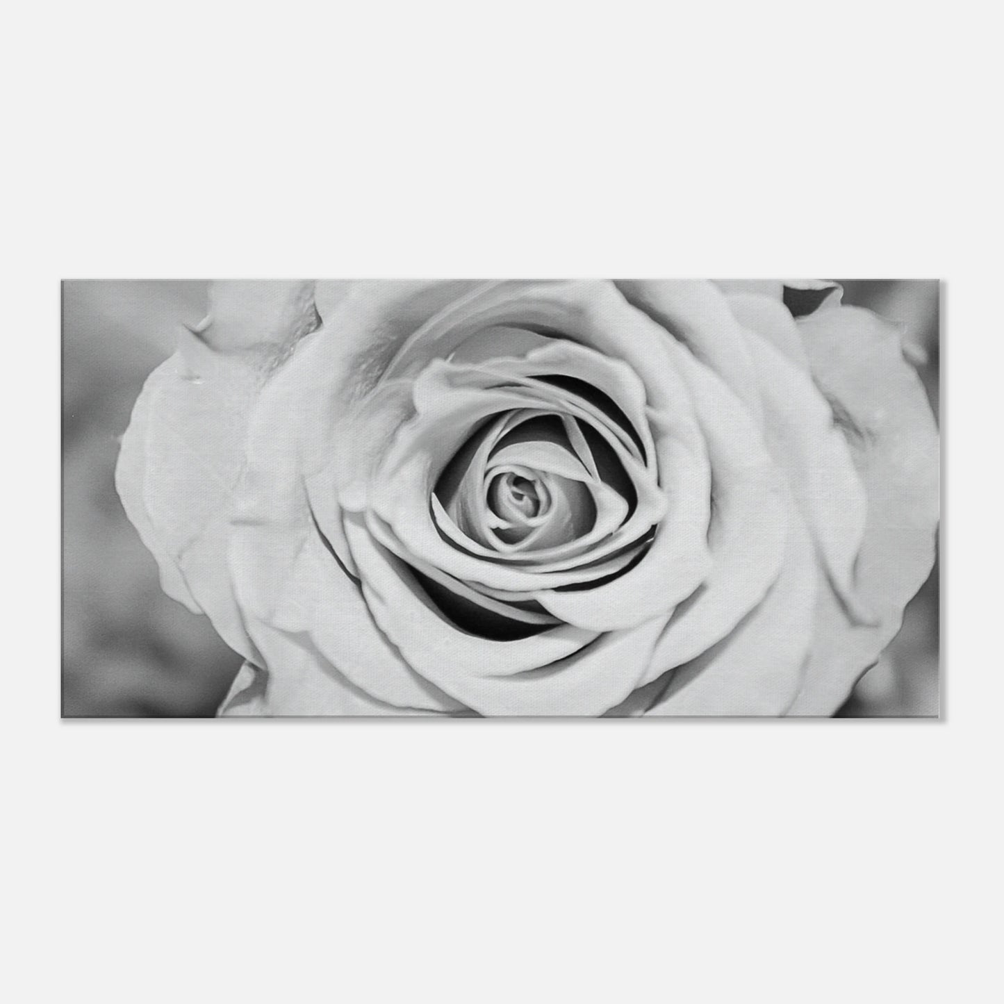 38b60200-ac97-4b00-b643-c7b4c12880a2