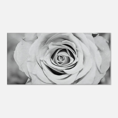 38b60200-ac97-4b00-b643-c7b4c12880a2