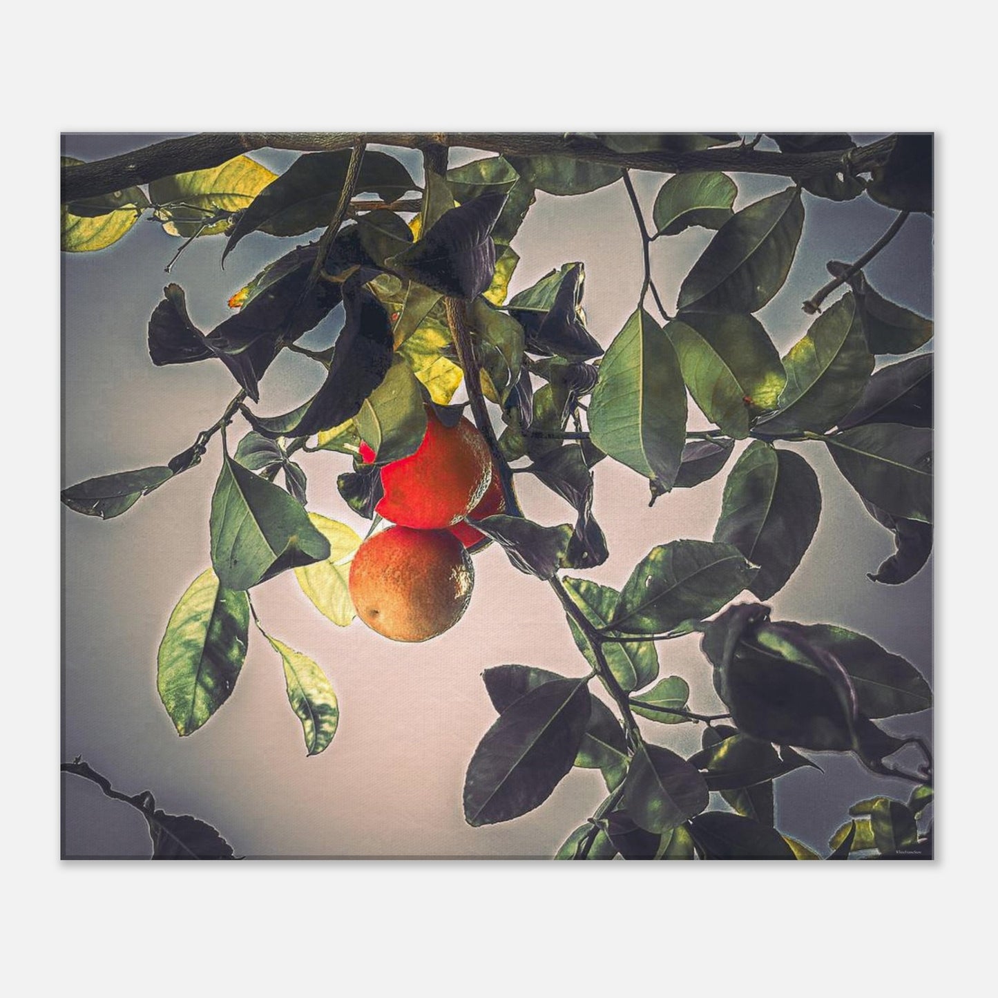 38f9218e-9890-419e-a789-a9343c19a299