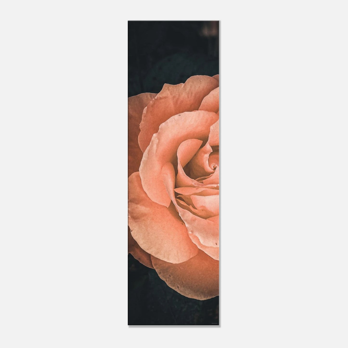 392c0dcc-803d-4d32-9acb-c6ce08445d27