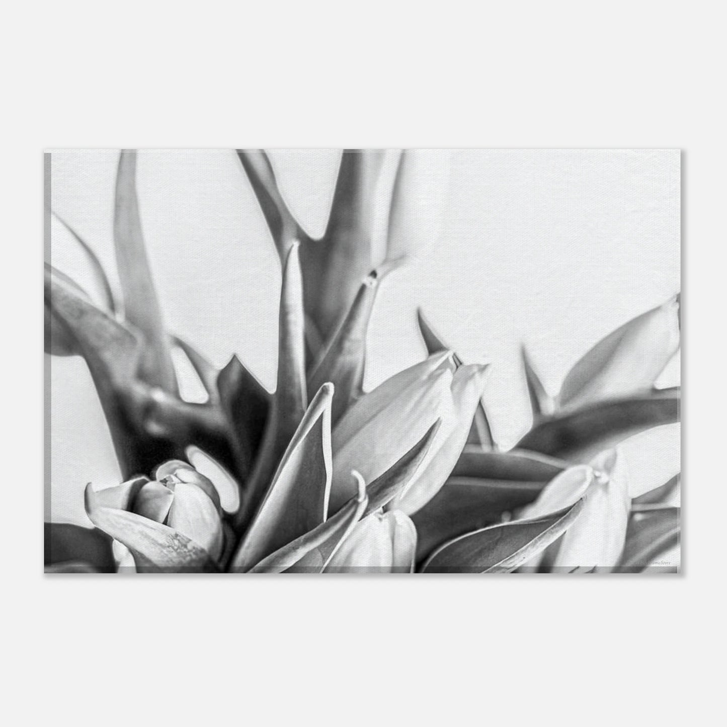 3979f1a7-f2e4-4e12-aa51-b36f69d33d8d