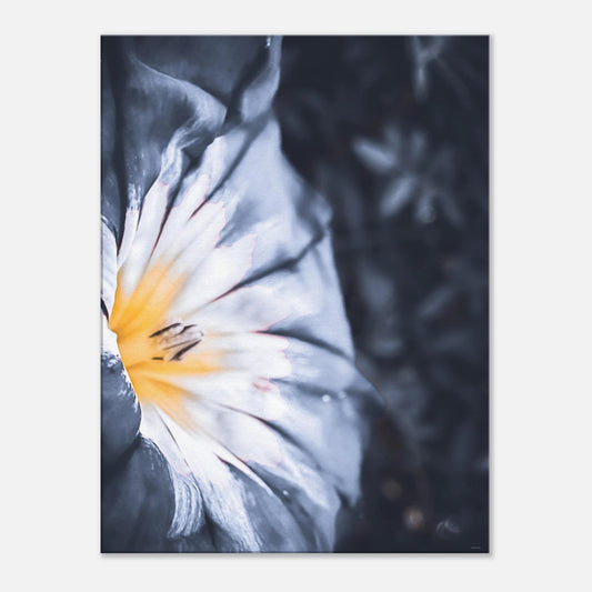 398d7341-5076-46a6-b94d-e0799f0c169d