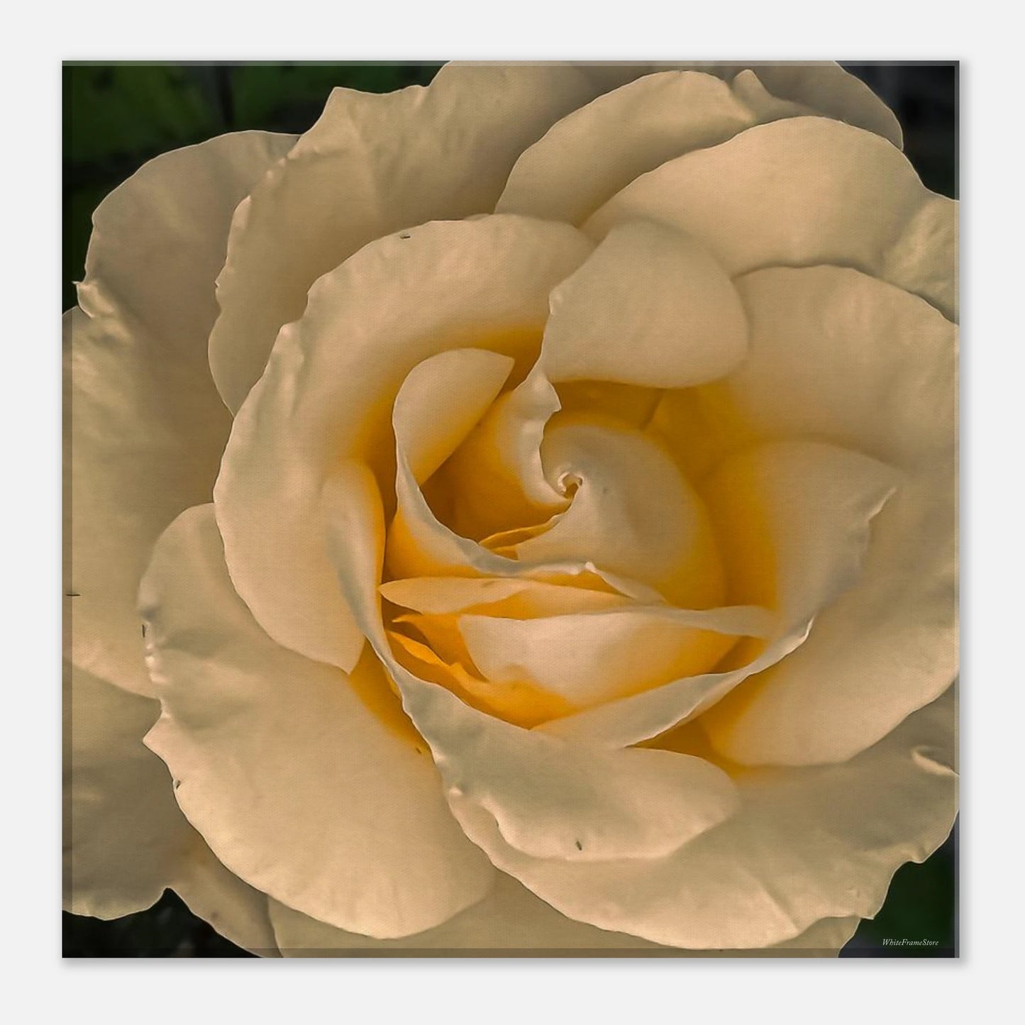 3994933c-6e01-49f3-af1d-a40bd7bd67ea