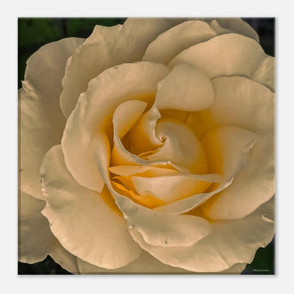 3994933c-6e01-49f3-af1d-a40bd7bd67ea