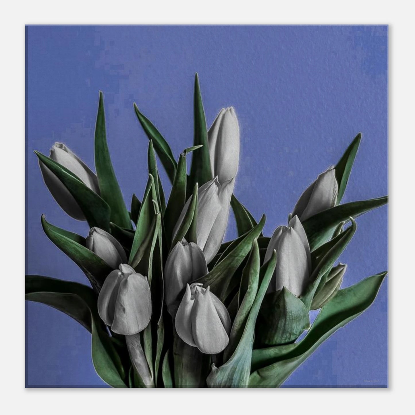 39a8a188-3f27-4c24-a60b-0e5a56a8e623