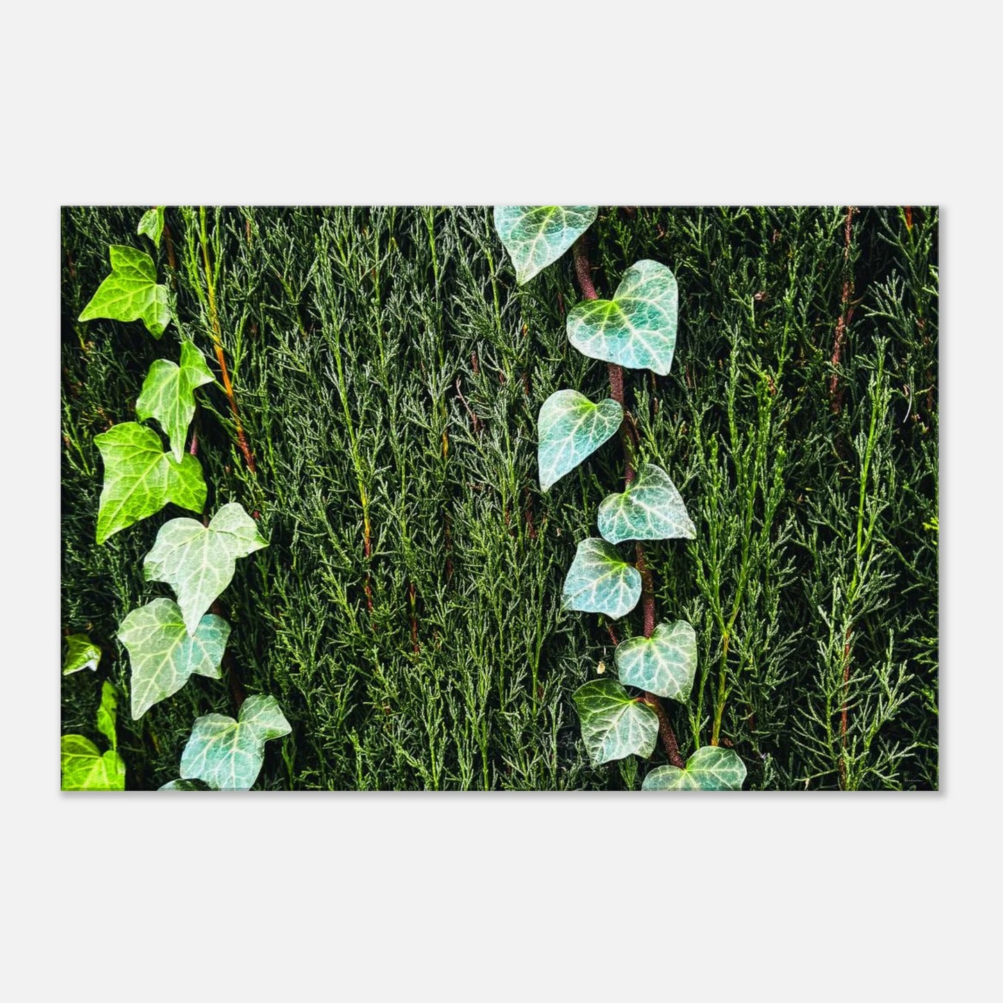 39a92e85-254a-4026-a65a-17ea7923490e