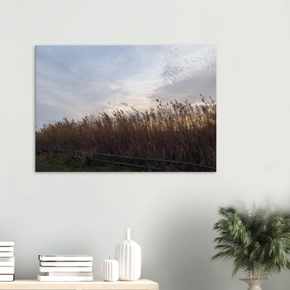 39ae4e0b-7800-48e4-9db3-11b94c1d3538