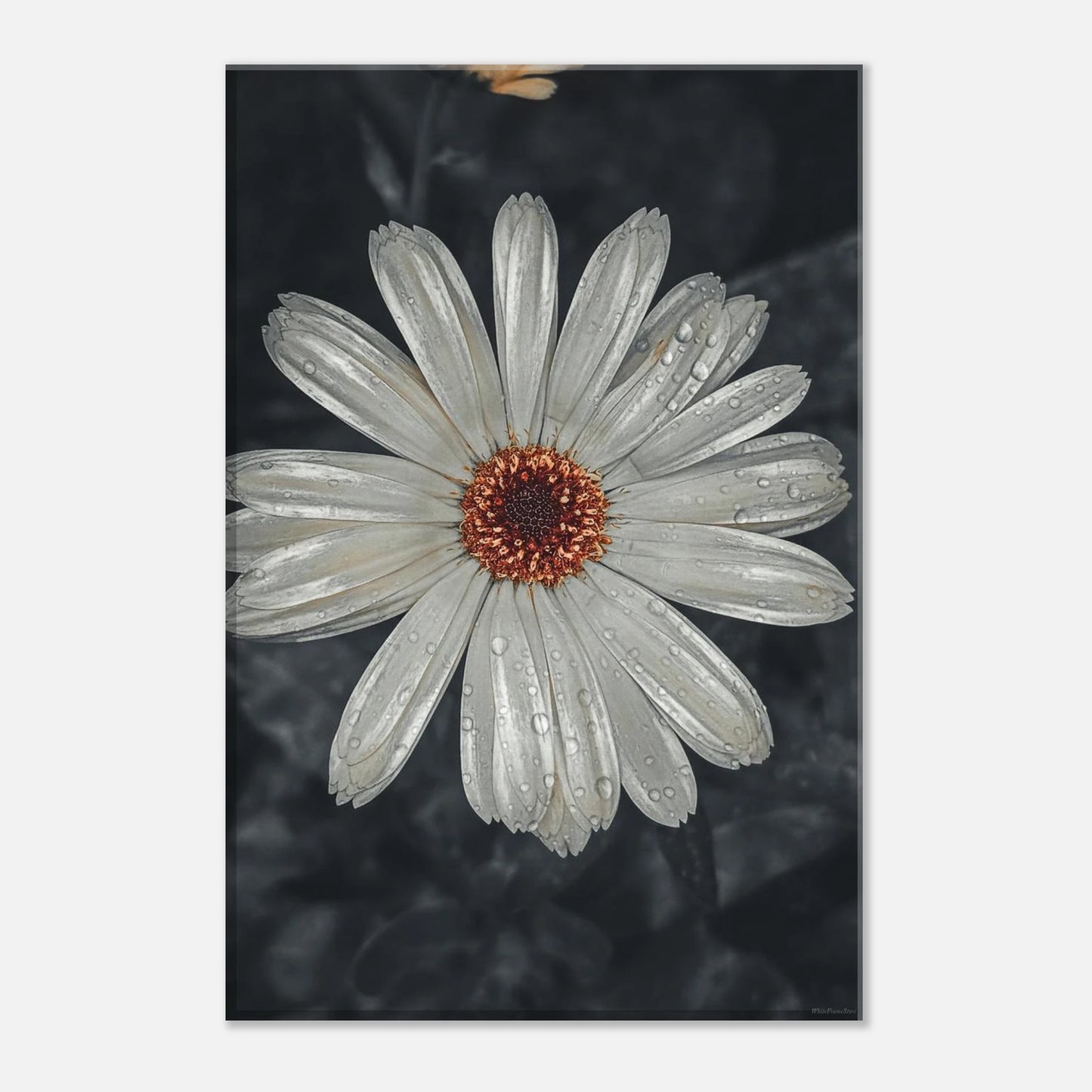 39b19d5a-6185-4ed3-9d74-63f7e69bdaf2